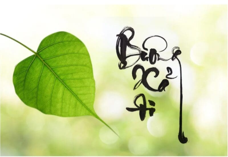 Buông xả_maithengoc.com