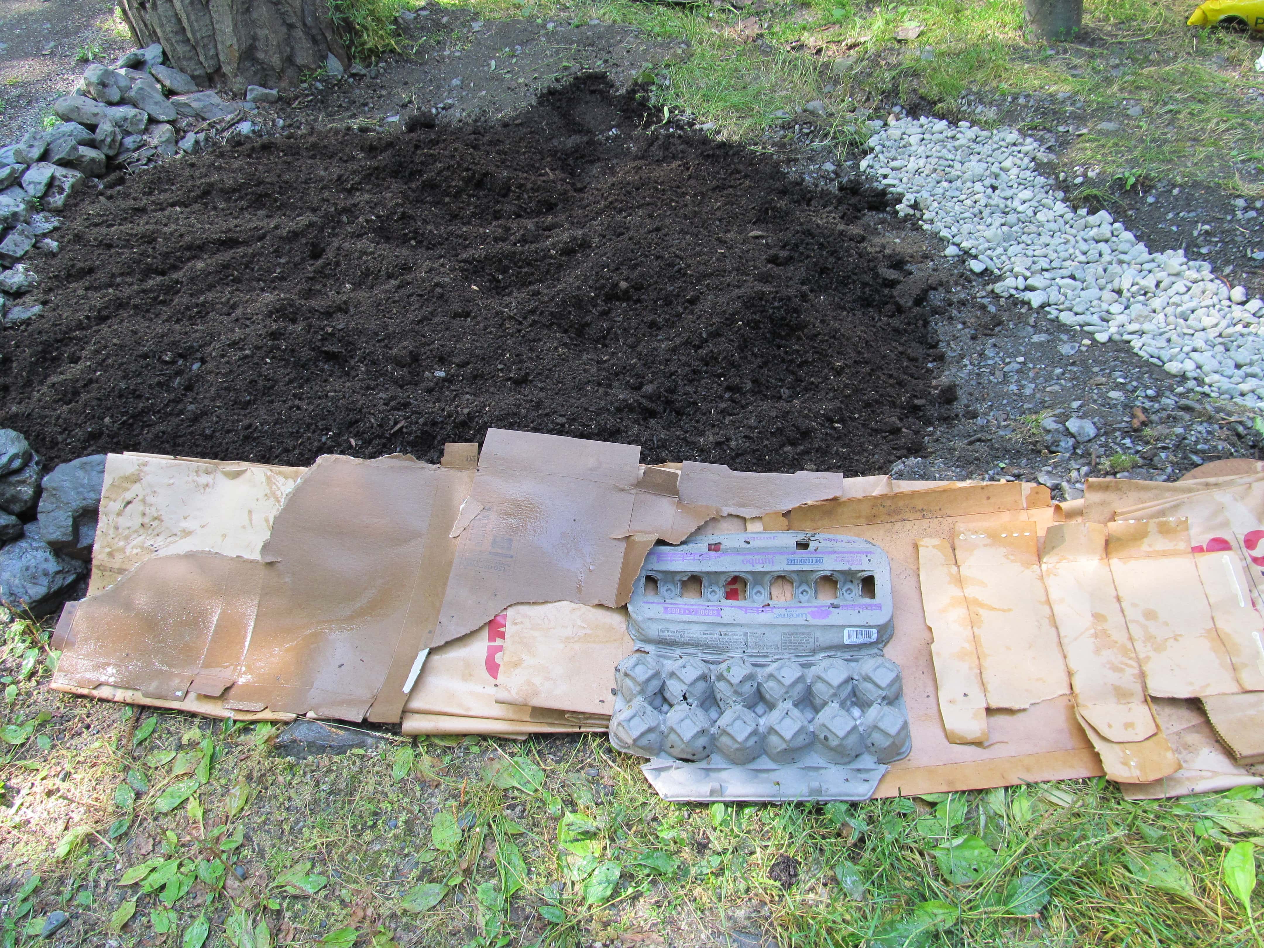 Author's garden showing how to make layers with re-used cardboard to keep weeds down on the border of your garden bed