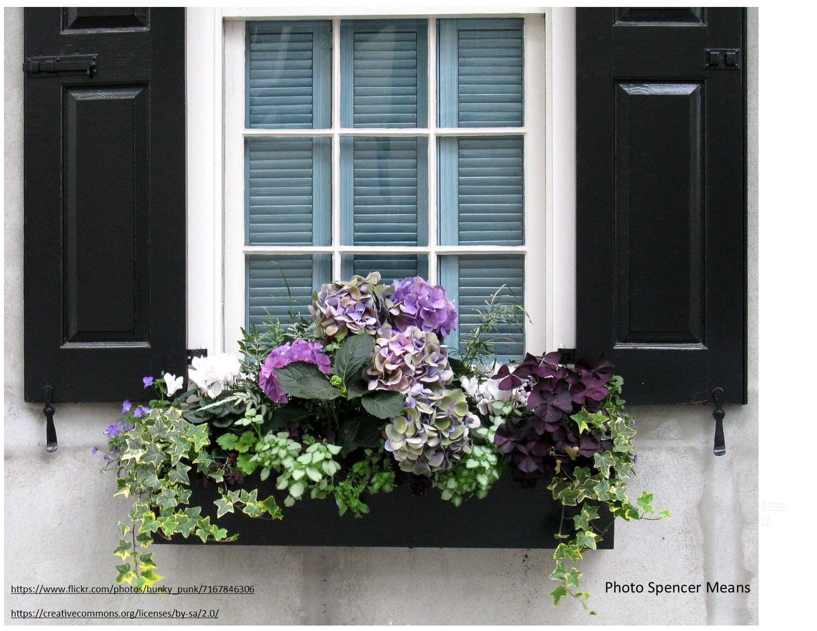 window box shows a larger flower for a centerpiece and complimentary trailing plants and ivy.