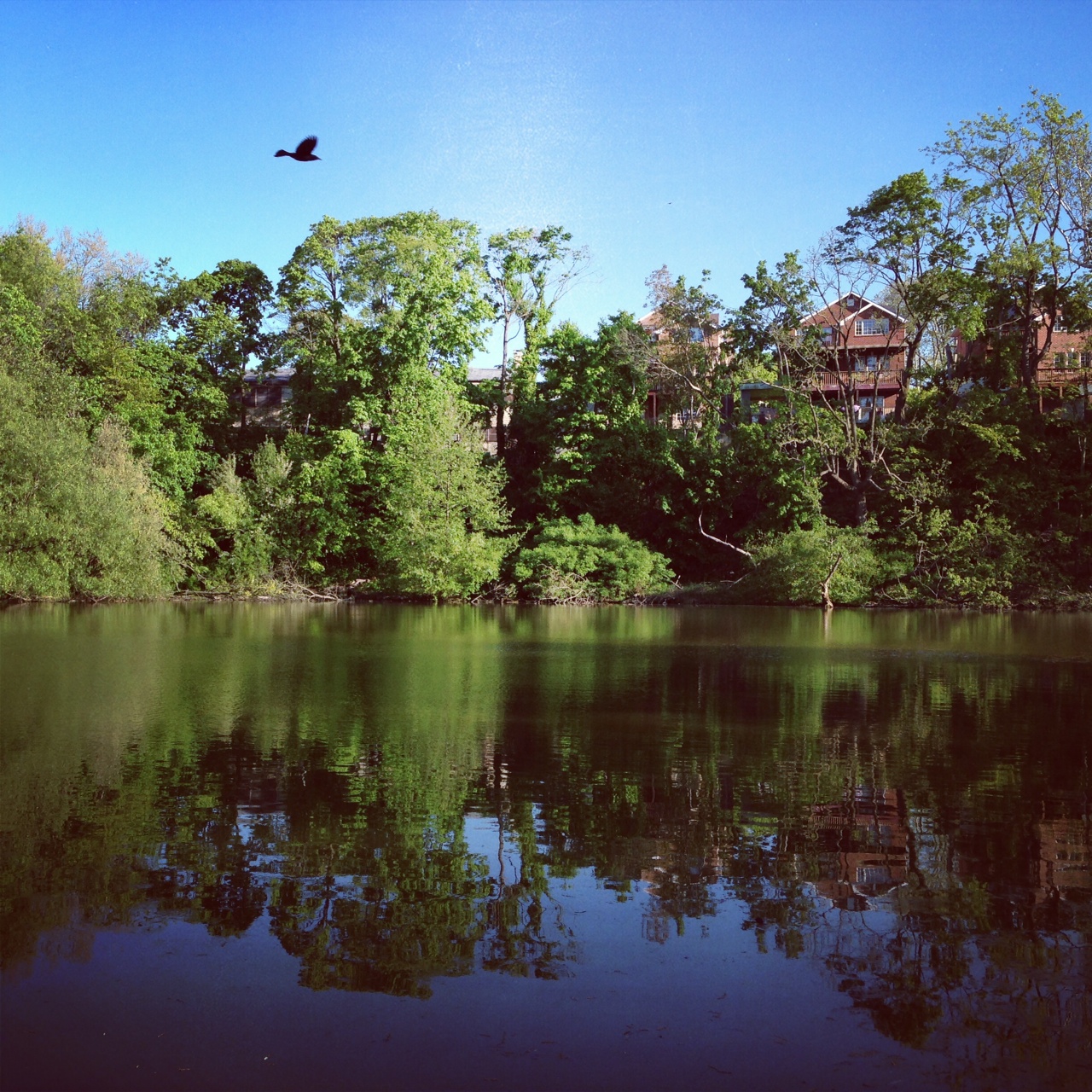 Peaceful.