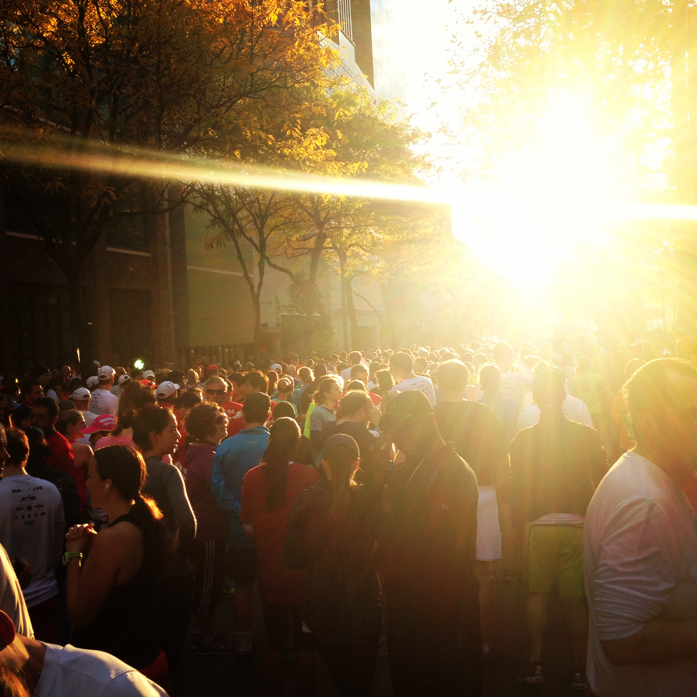 Gorgeous November morning in NYC.
