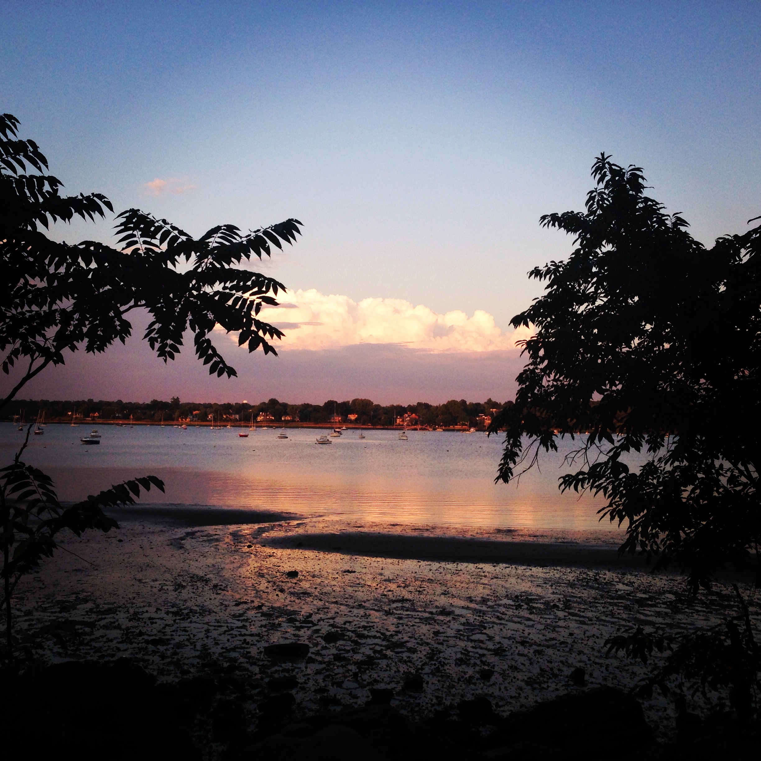 Looks tropical but it's right here by me!