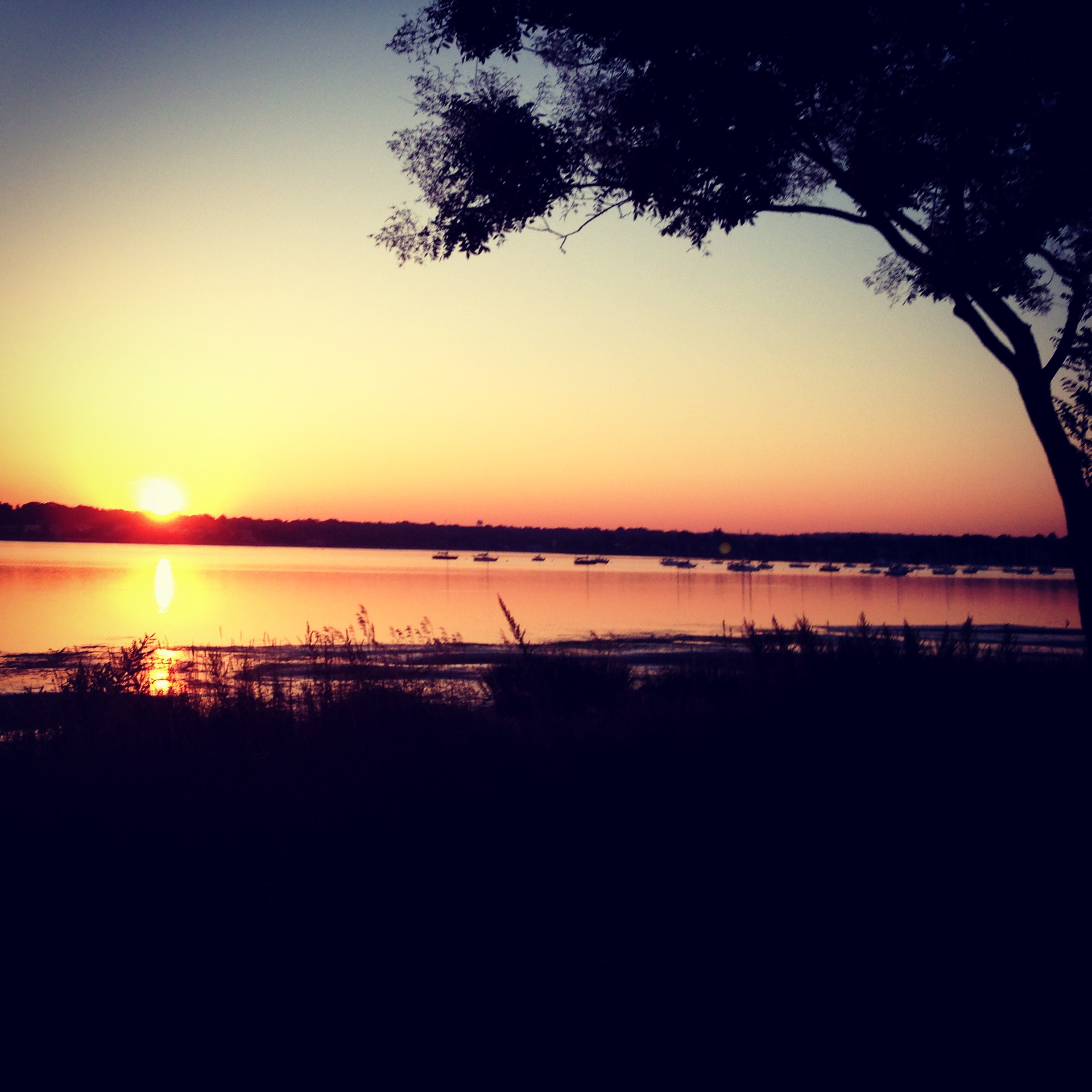 Sunrise runs - nothing like them.