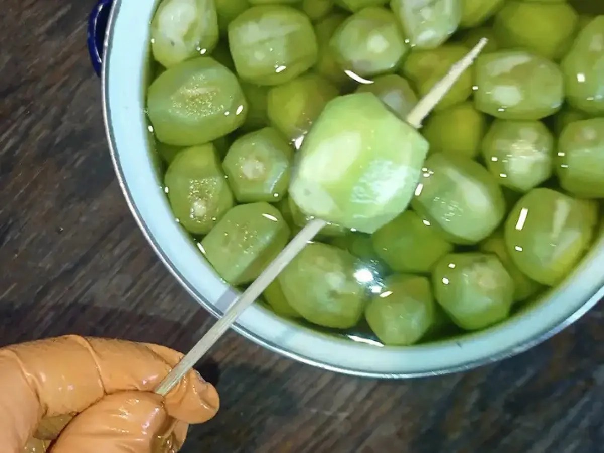 Gloved hand piercing a peeled green walnut with a skewer above a pot of soaking walnuts
