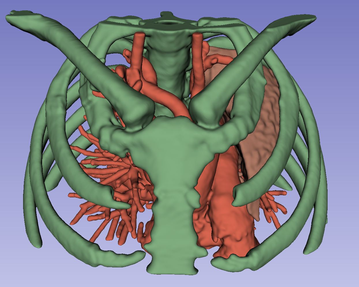 Segmentacion fatmodel2