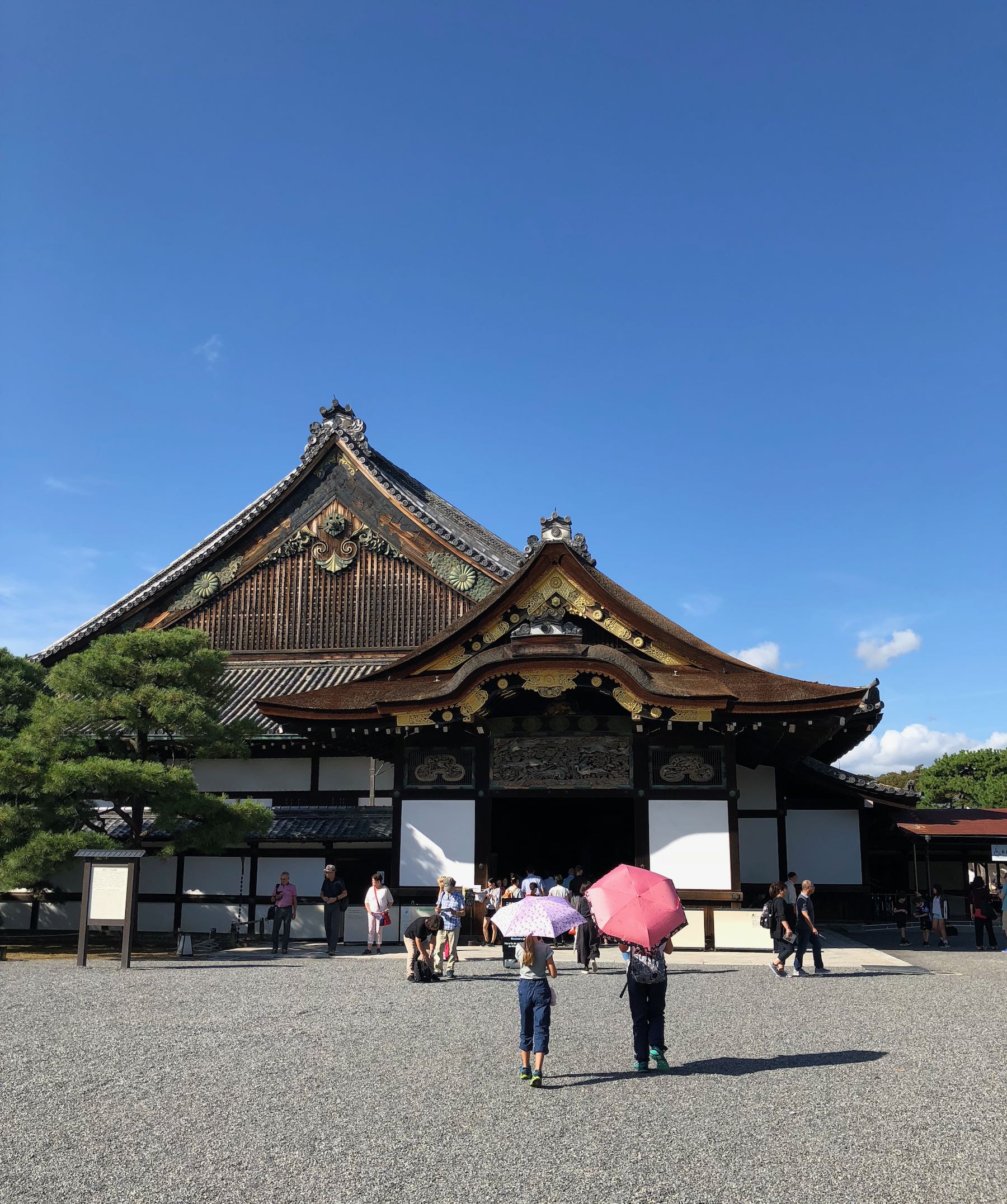Quand les parapluie deviennent ombrelles