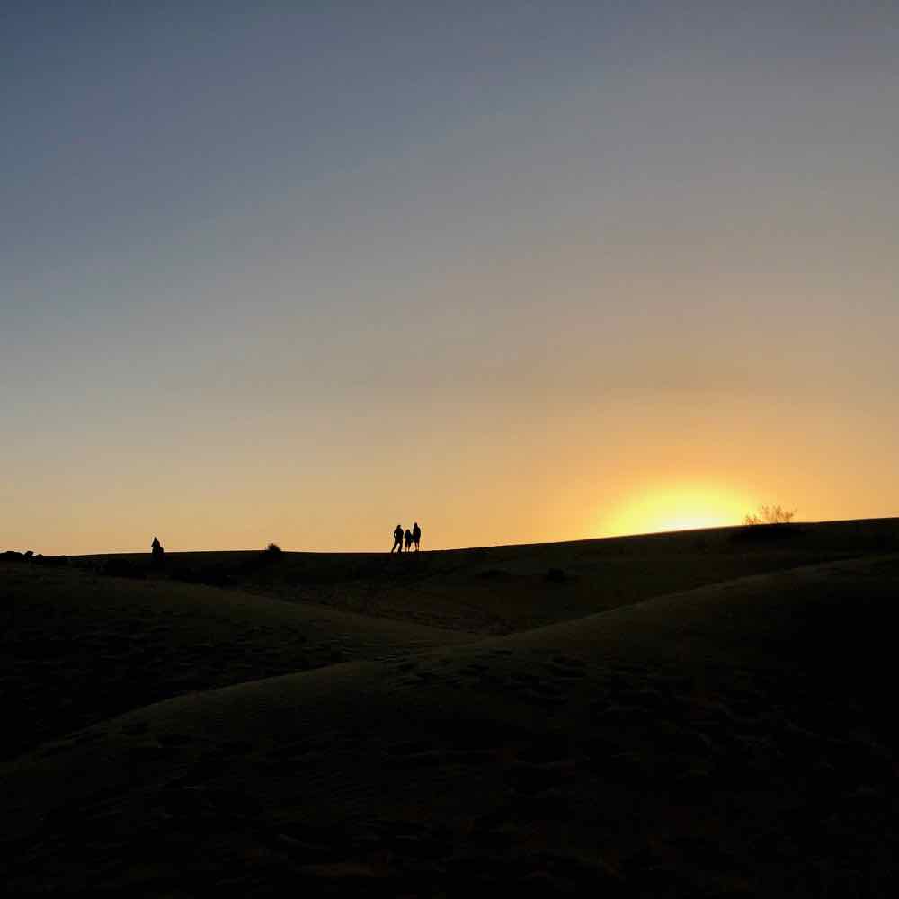 Lever de soleil - Désert du Thar - Rajasthan - Inde