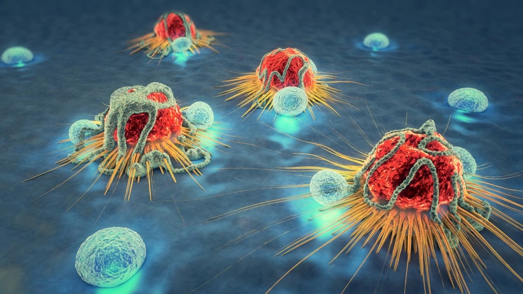 يُساعد الموت المبرمج للخلية apoptosis على حماية المخلوقات الحية من نمو الخلايا السرطانية