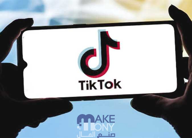 تفاصيل حظر التيك توك في النمسا