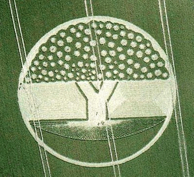 Tree of Knowledge 