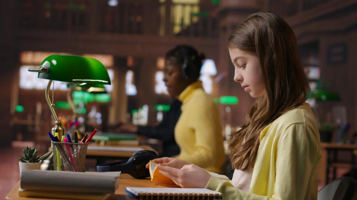 Programming for students
