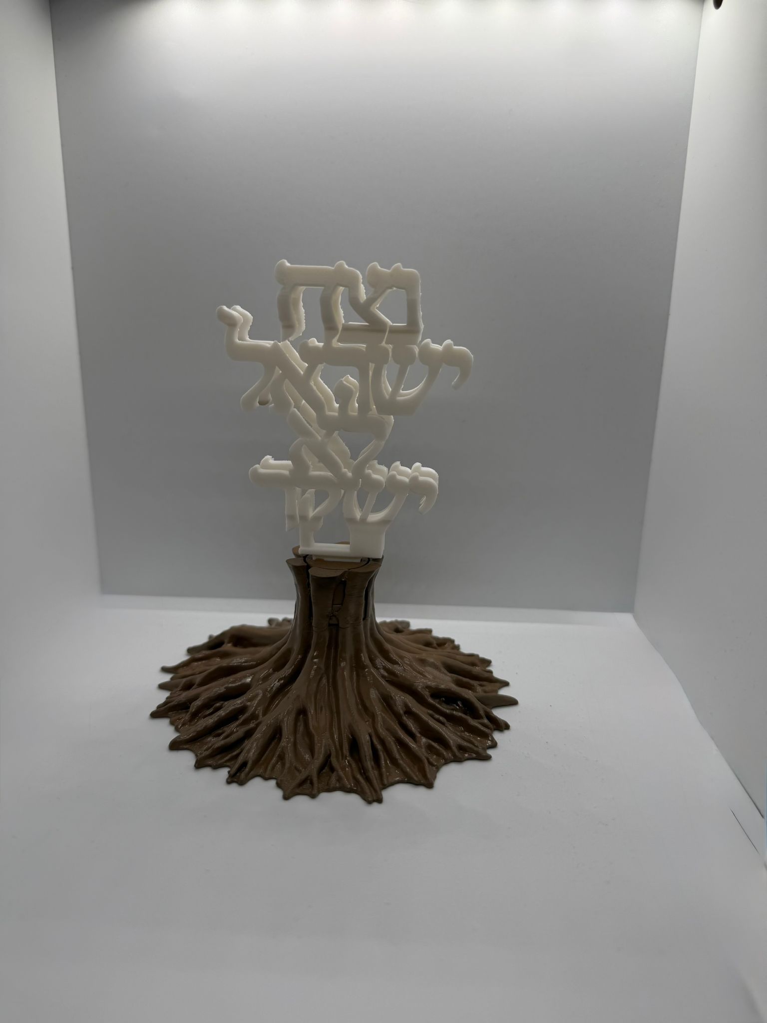 Netzah Israel Anamorphic Israel Map Art Free 3D Print Model 