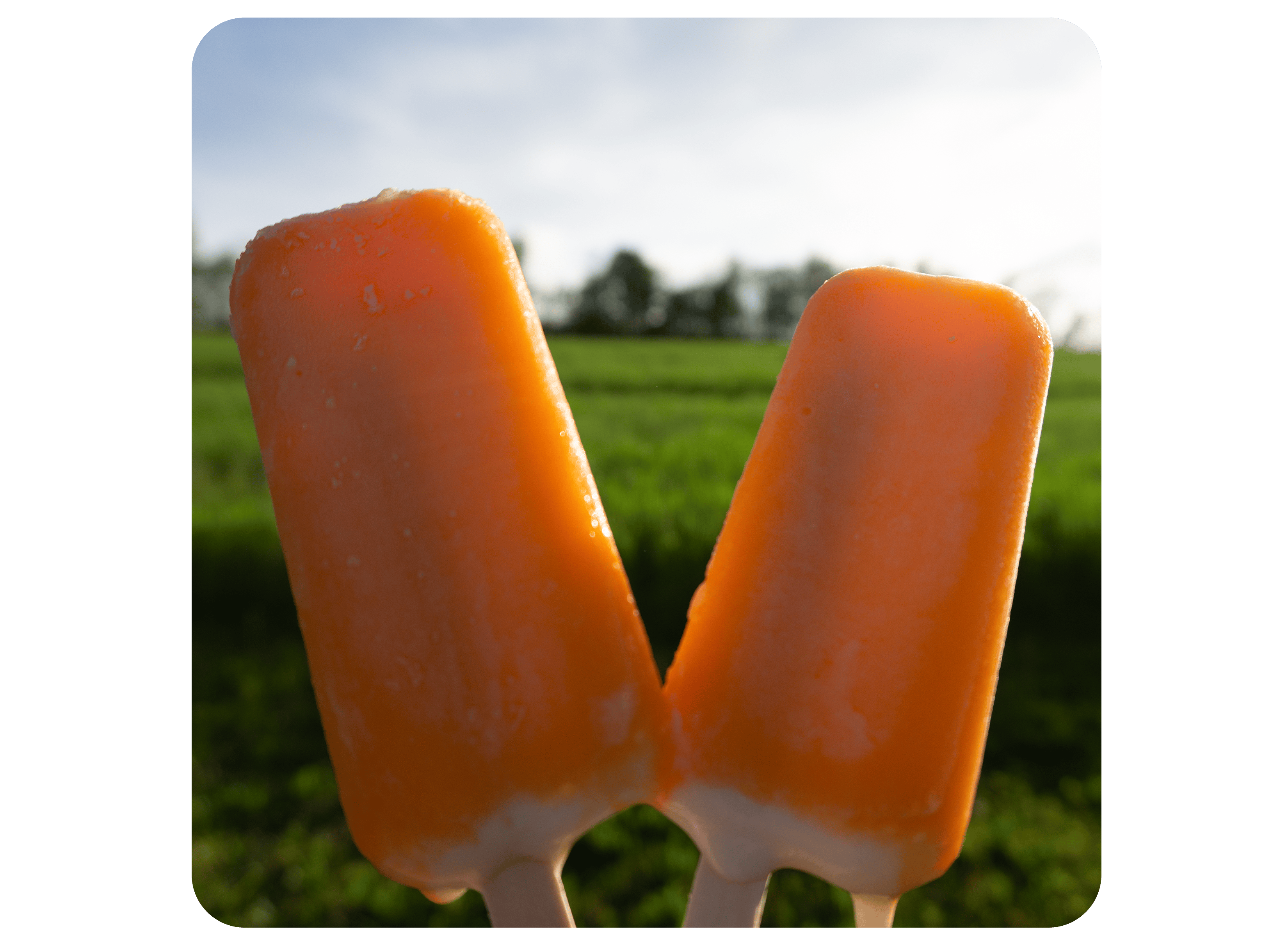 Orange Dream