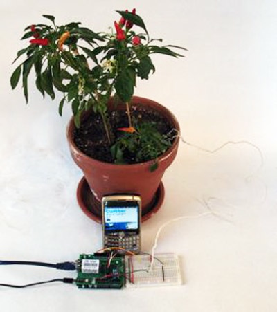 HOW TO –  Make plants talk! They’ll Twitter you when they need to be watered (and more)…