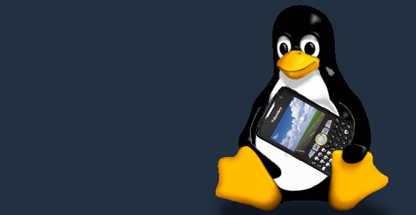 Use a BlackBerry as a wireless modem in Linux