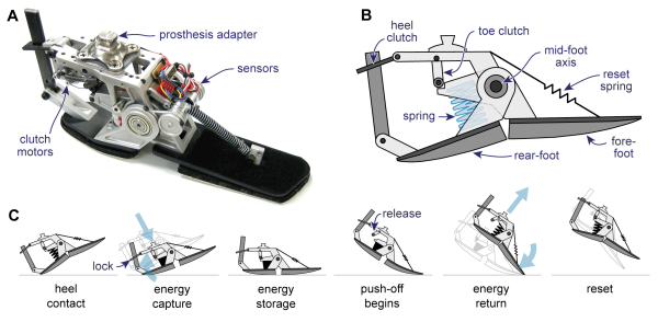 Bionic feet becoming reality