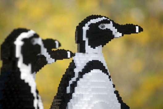 Endangered Lego creatures invade zoo