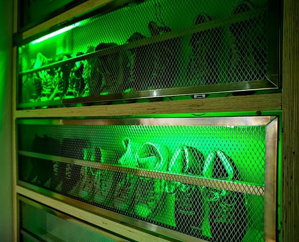 Alien specimin case re-purposed as shoe rack