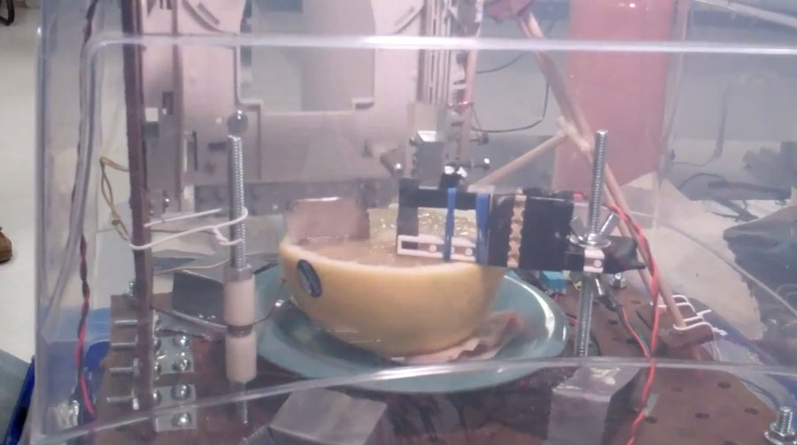 Automated Grapefruit Slicer