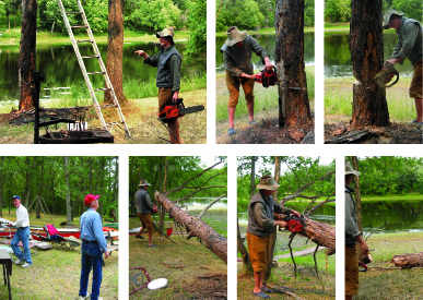 The Widowmaker: Cutting Down a Tree