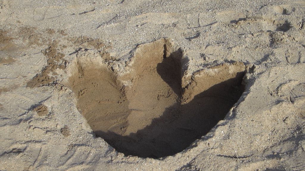 DIY Dinosaur Footprints