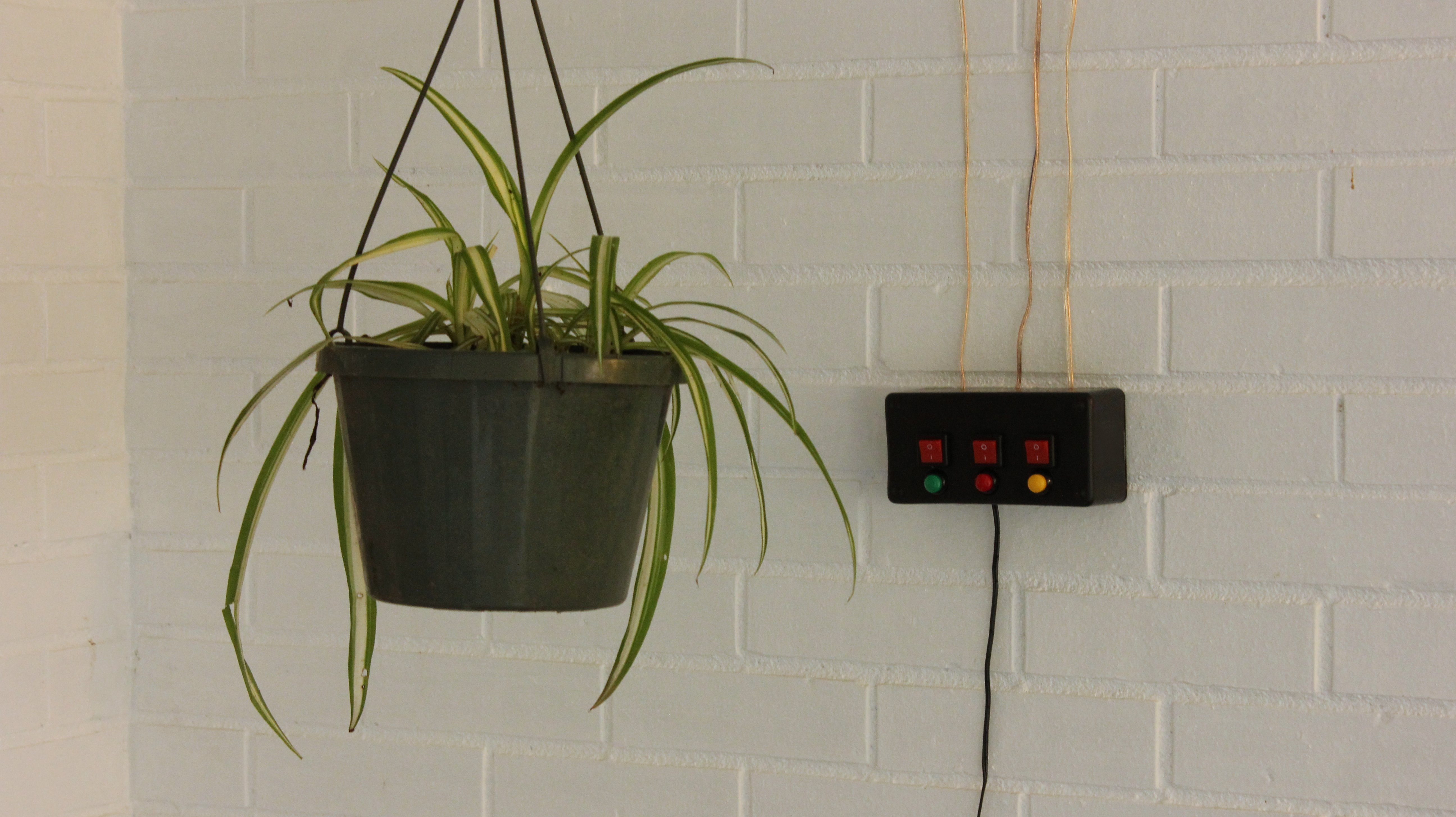 Build a Motorized System for Raising and Lowering Hanging Plants