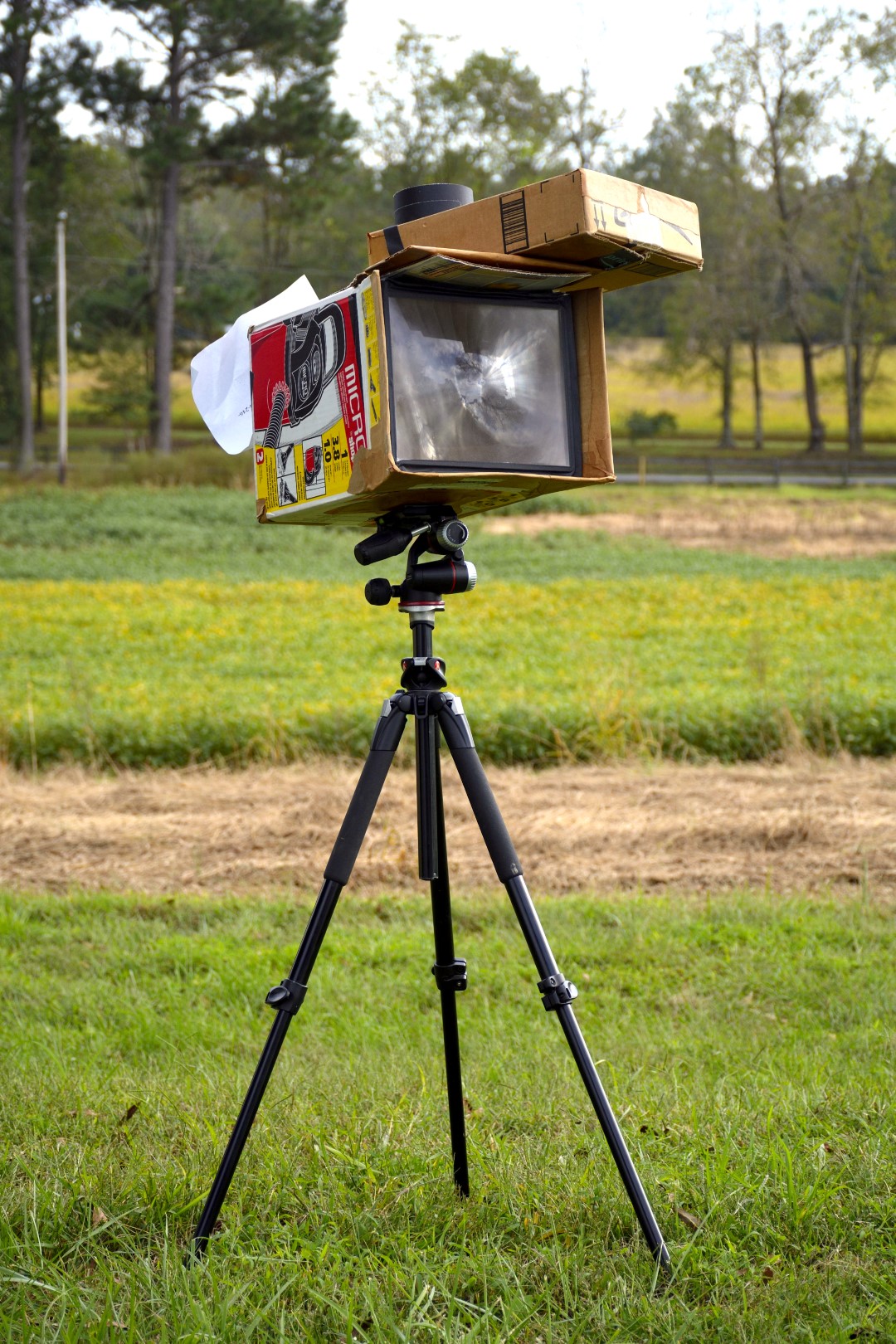 Cardboard Cyanotype Camera