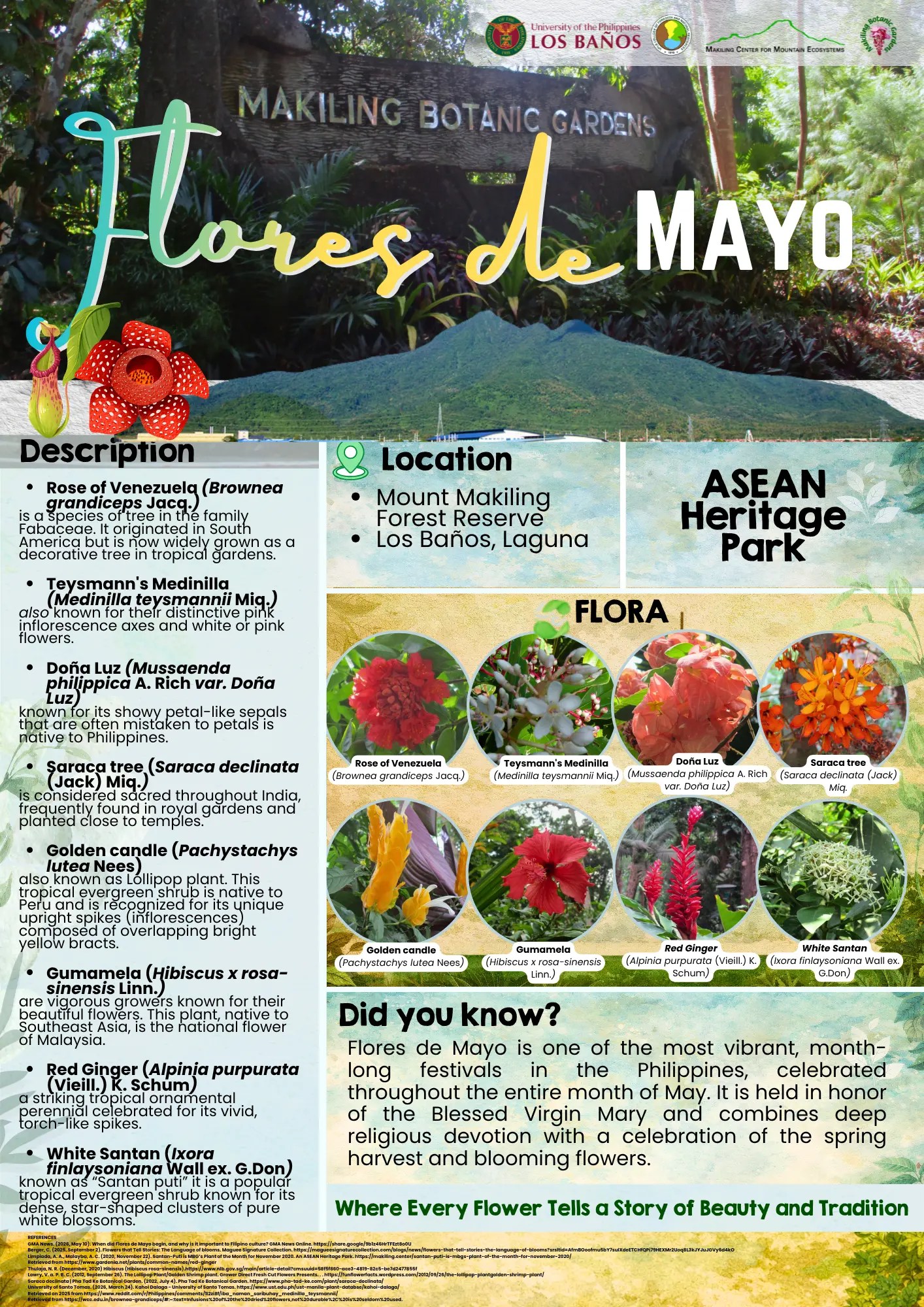 Flores de Mayo