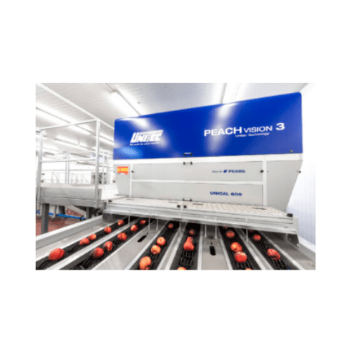 Sorting Grading Packaging Line For Peaches Nectarines Processing - Sunset Art Collection - Full HD Quality