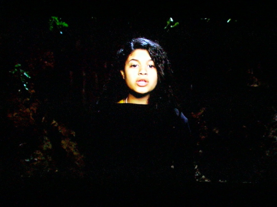 João Onofre, Untitled (N’en finit Plus), Vídeo HD Monocanal, PAL, 16:9, cor, som, 3' 03'' loop.