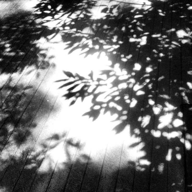 Rui Dias Monteiro, 'Sob cada erva', Sob cada erva, 2014. Livro de artista Tiragem 100 + 15 Impressão risograph 28,5x19cm.