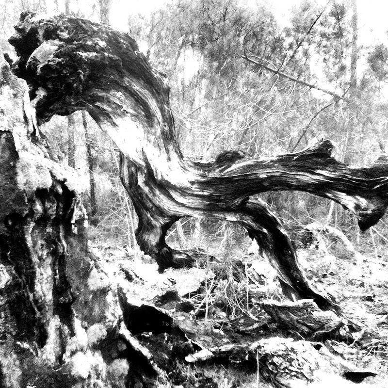 Rui Dias Monteiro, 'Sob cada erva', Sob cada erva, 2014. Livro de artista Tiragem 100 + 15 Impressão risograph 28,5x19cm.