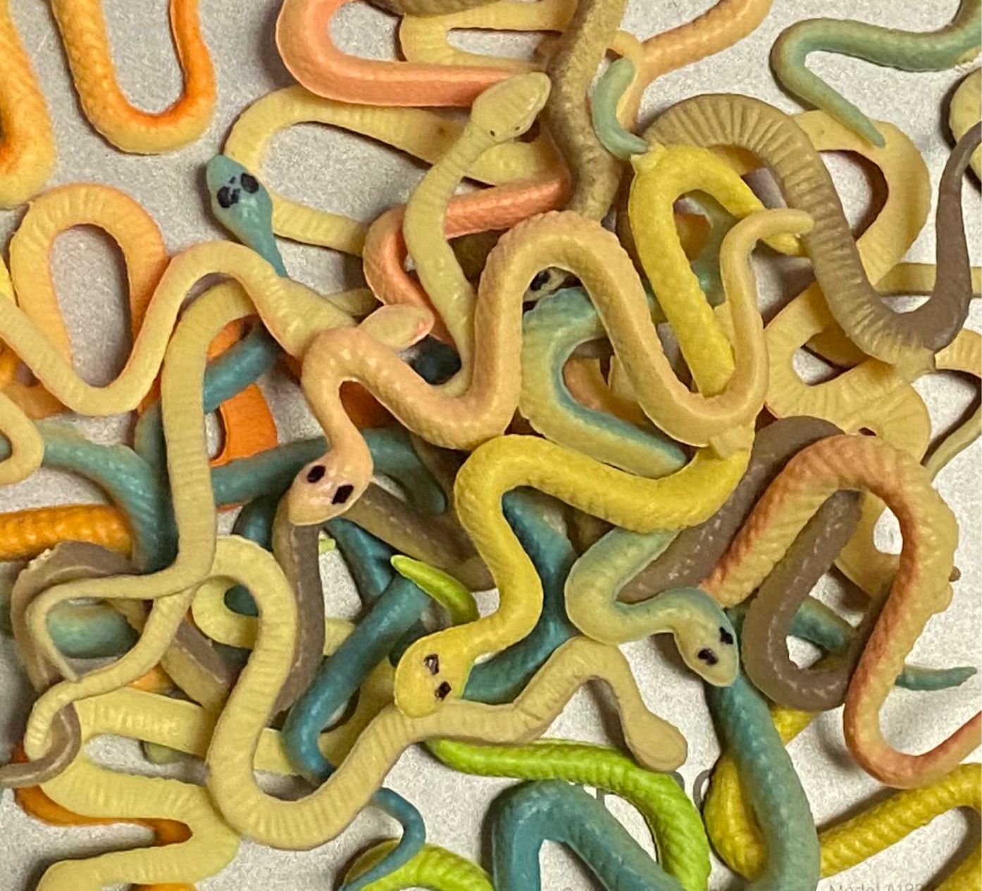 Plastic Snakes Clearance! MakingFriends