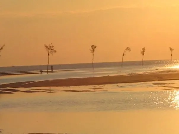 Candleberry inn is located along route 6a in historic brewster making it the perfect place to call your home base for your cape cod day trips. 7 Must Do Day Trips On Cape Cod Making Midlife Matter