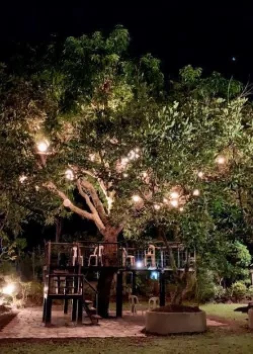 image of treehouse