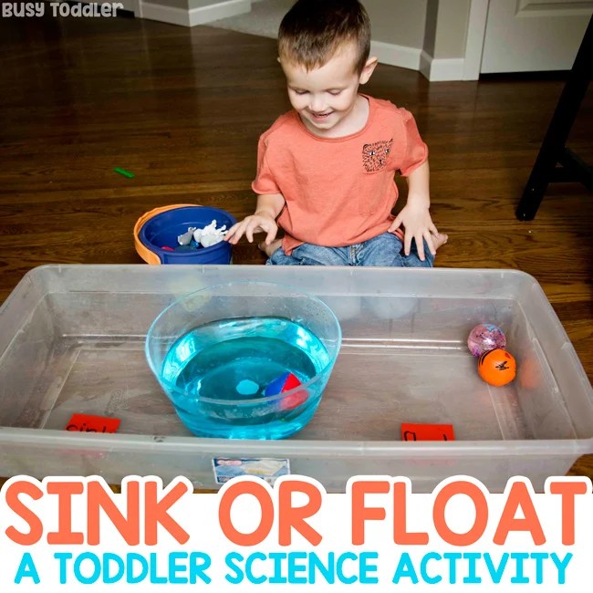 Toddler doing a sink or float science activity with a water bin, testing different objects to see whether they sink or float.