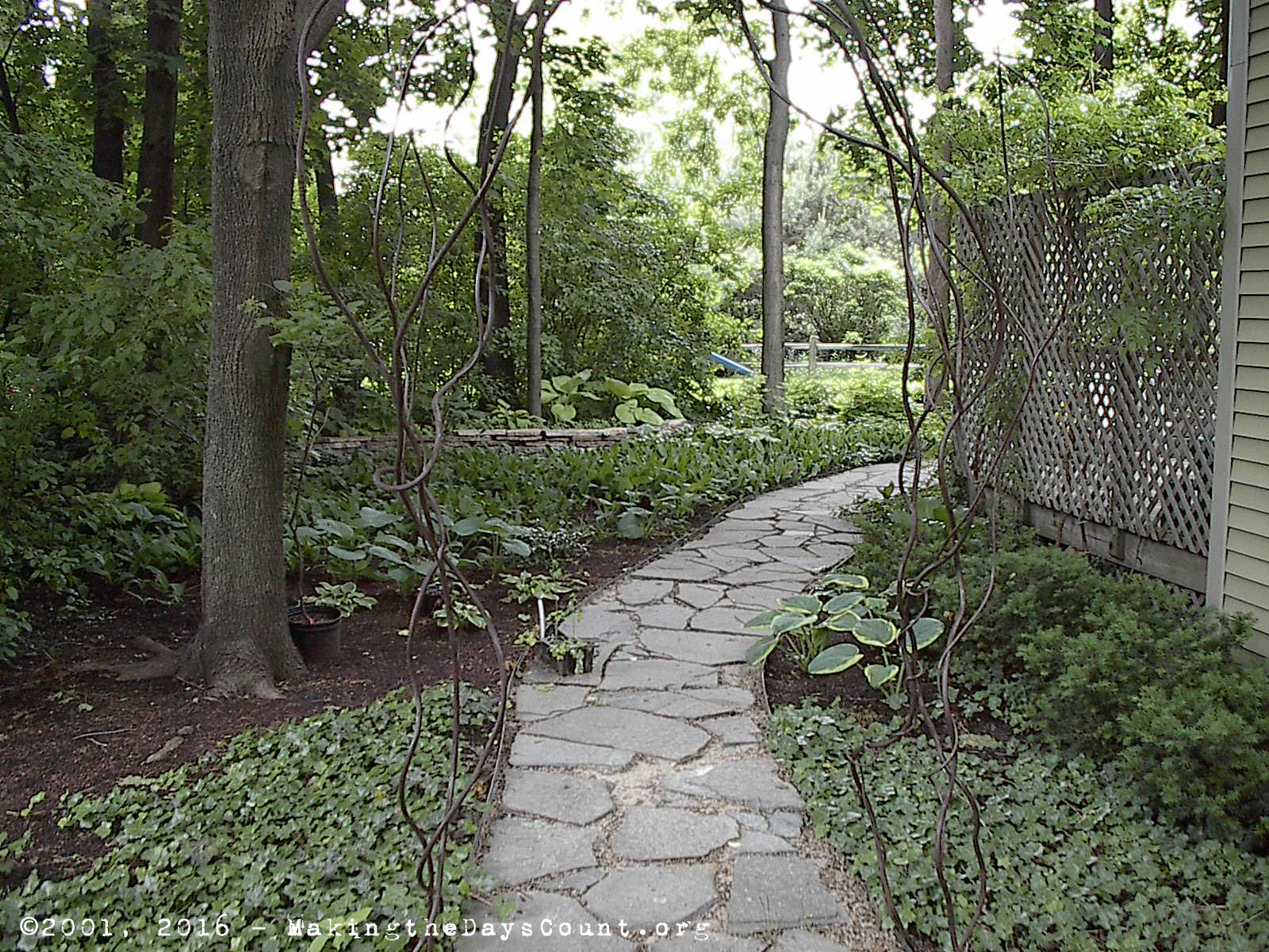 2001 - one year after the path was completed - looking from the front to the back yard