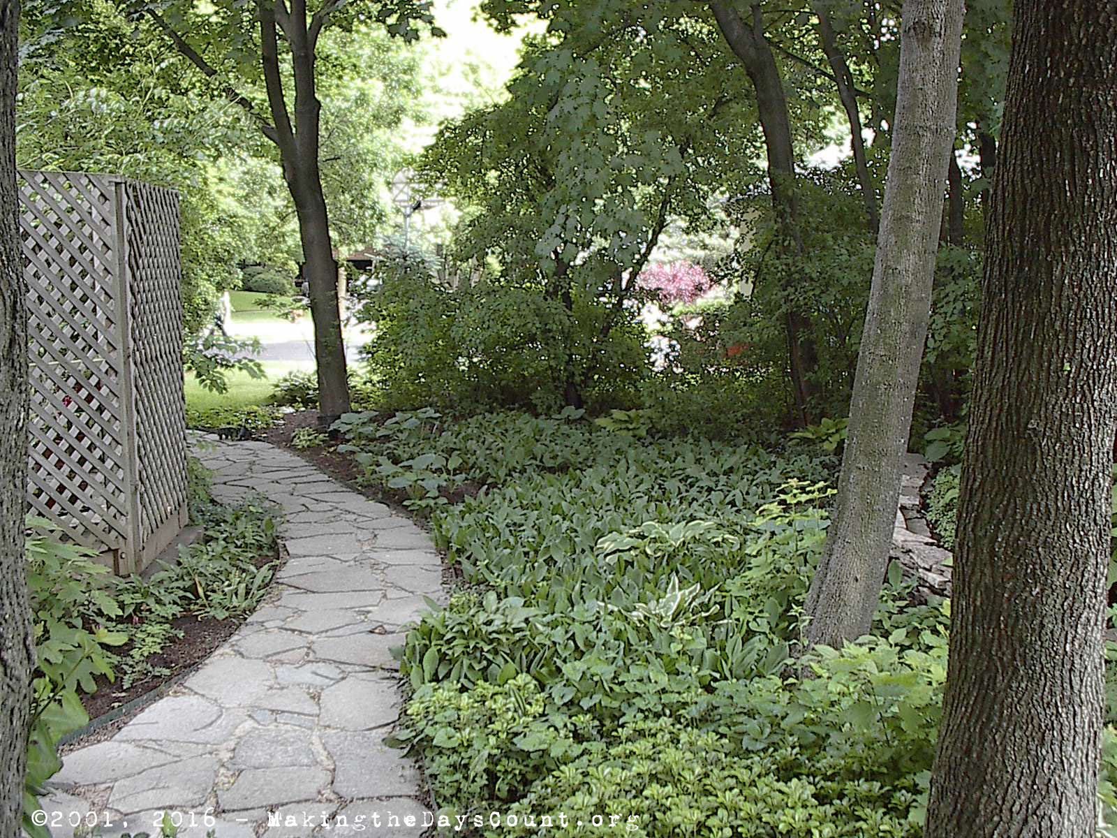 2001 - one year after the path was completed - looking from the back to the front yard