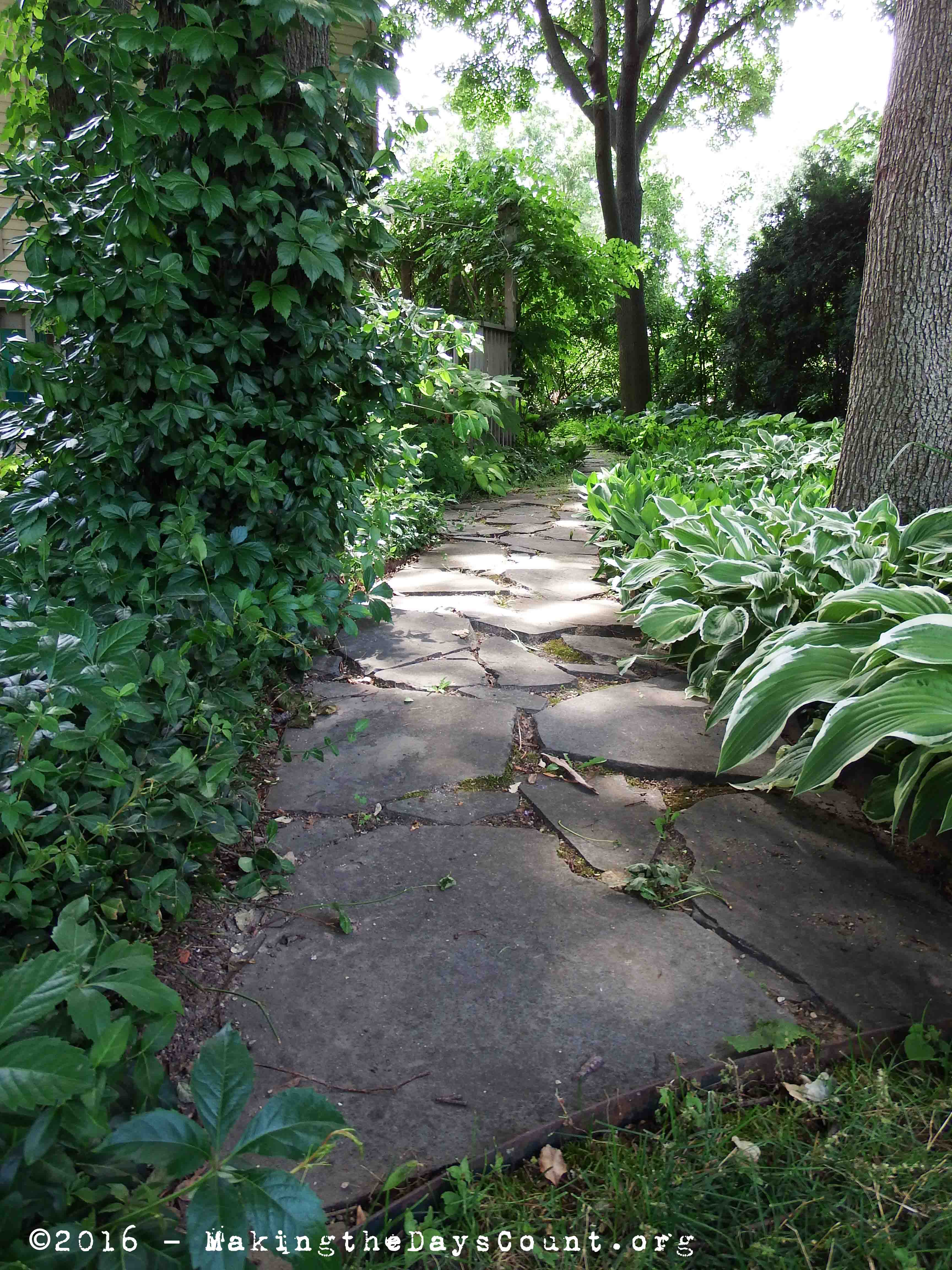 this morning, last week's weeding completed