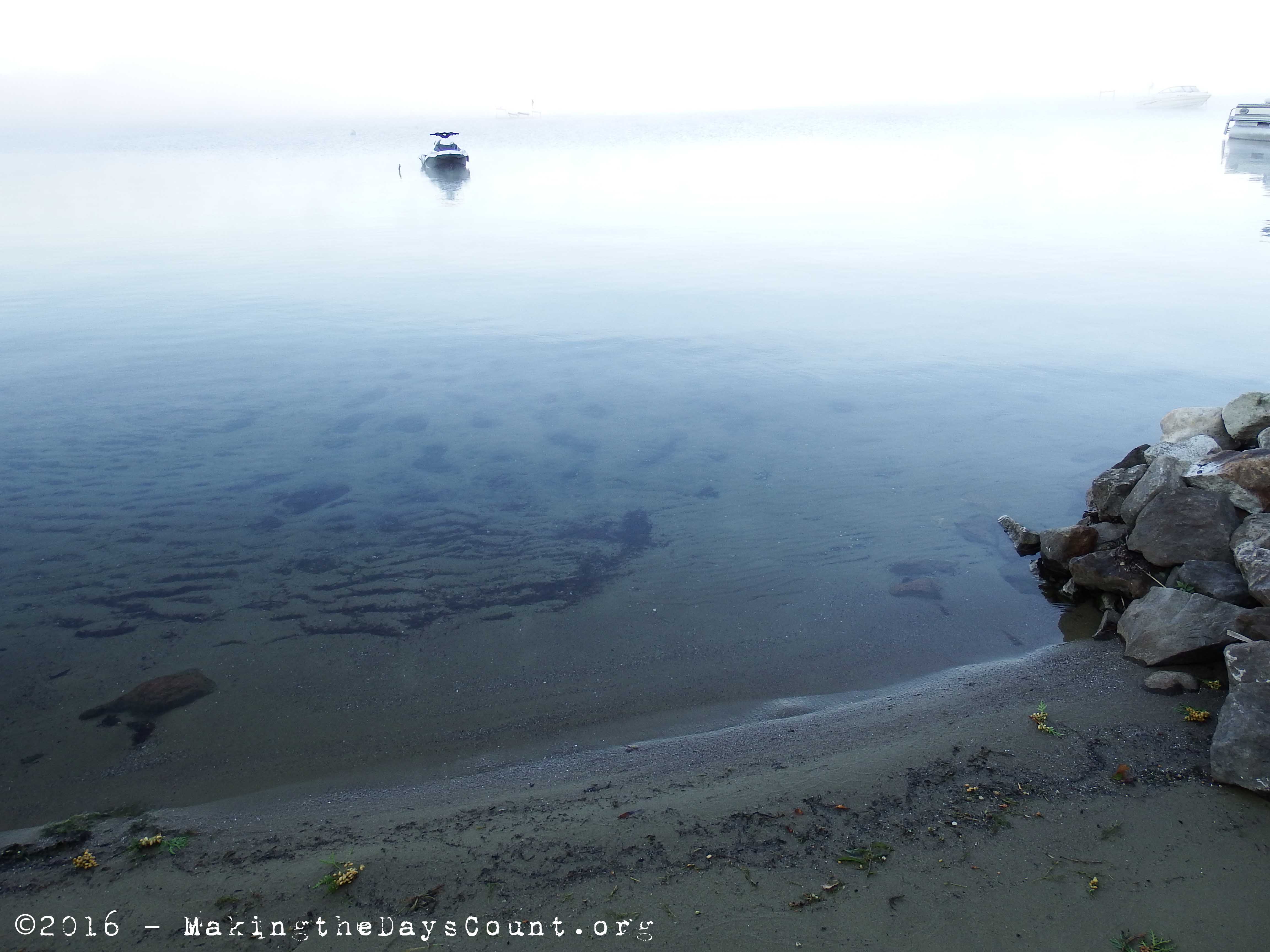 the beach and the lake