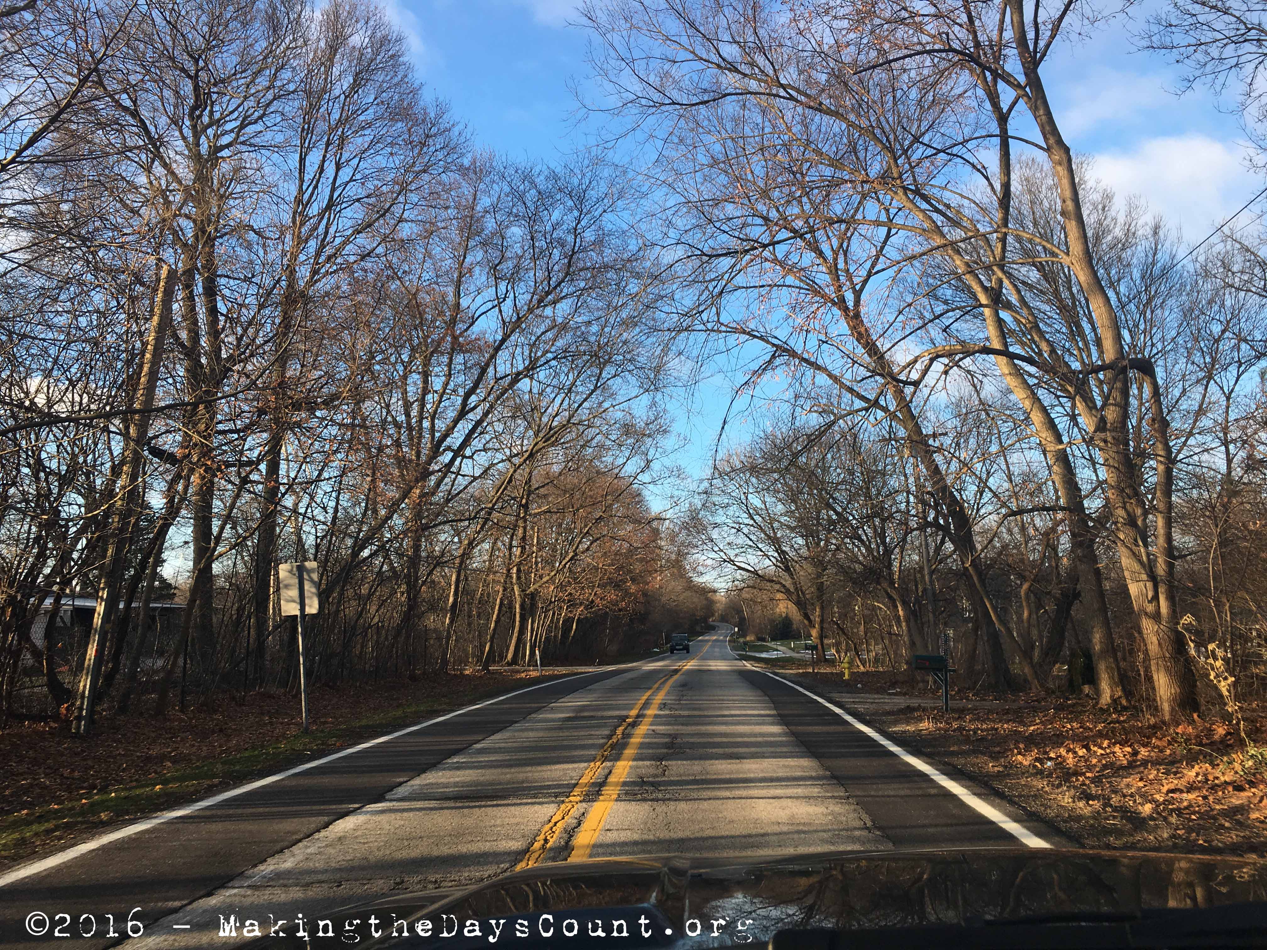 late December - all the snow is gone