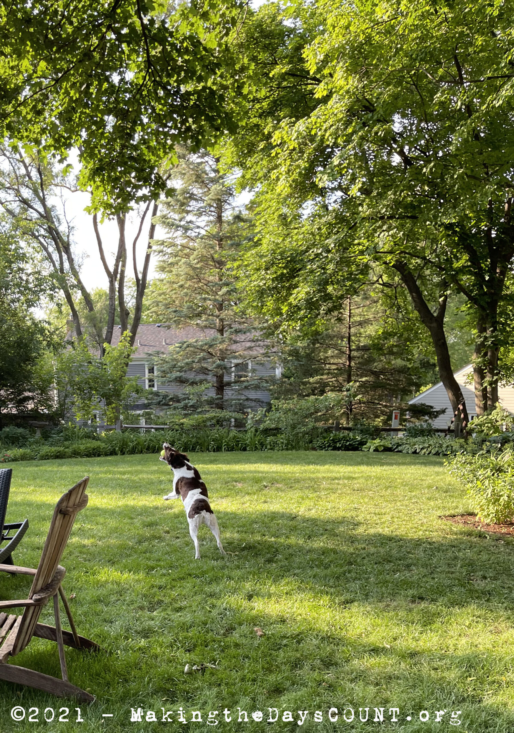 catch is the object of fetch. Wheaton, IL Tuesday June 8, 2021 6:19 PM