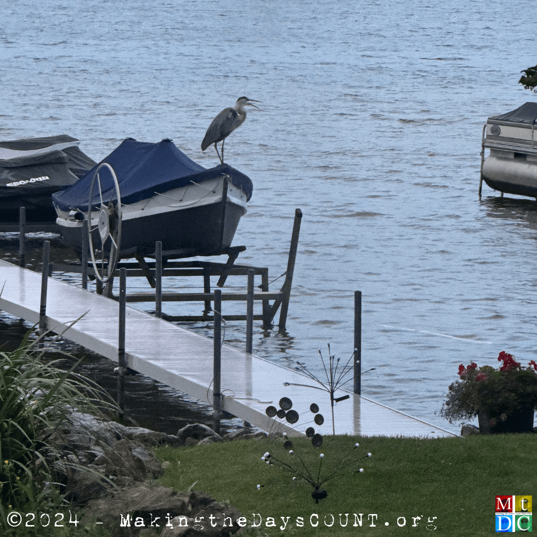 Tuesday morning, my photo