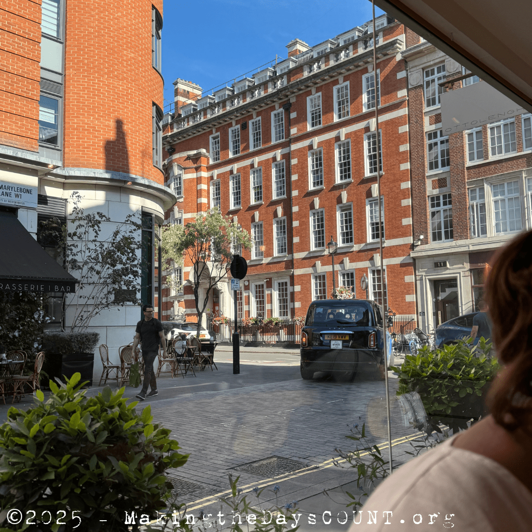 the view from my seat, a beautiful sunny day