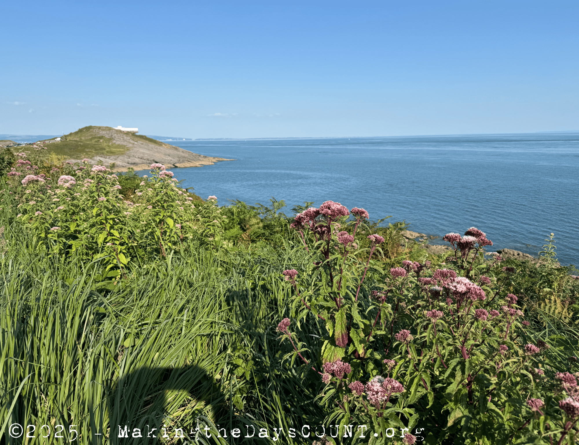 The view along the path overlooking the Bristol Channel