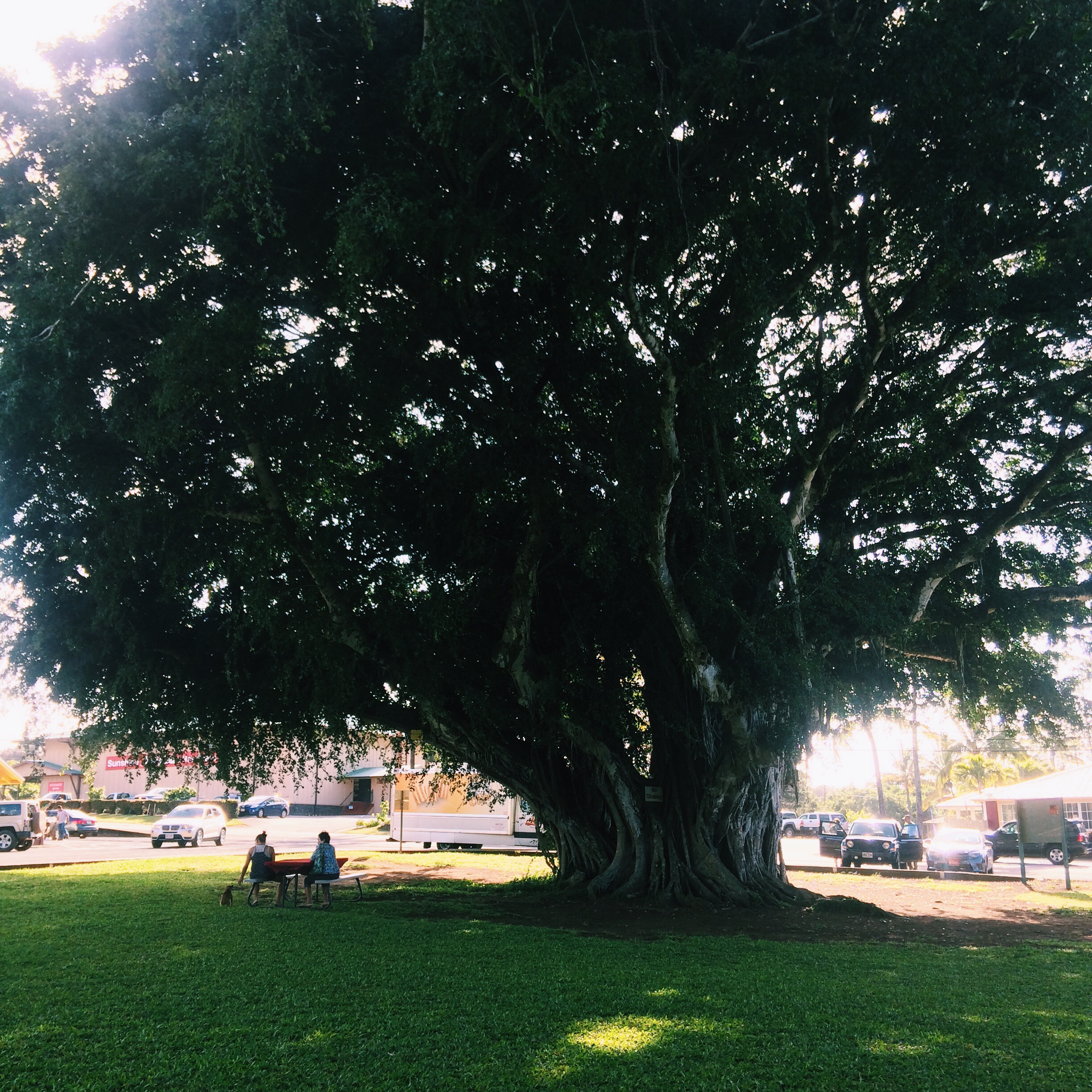 Processed with VSCOcam with c1 preset