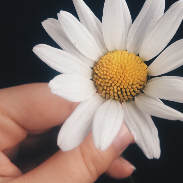 Processed with VSCOcam with hb2 preset