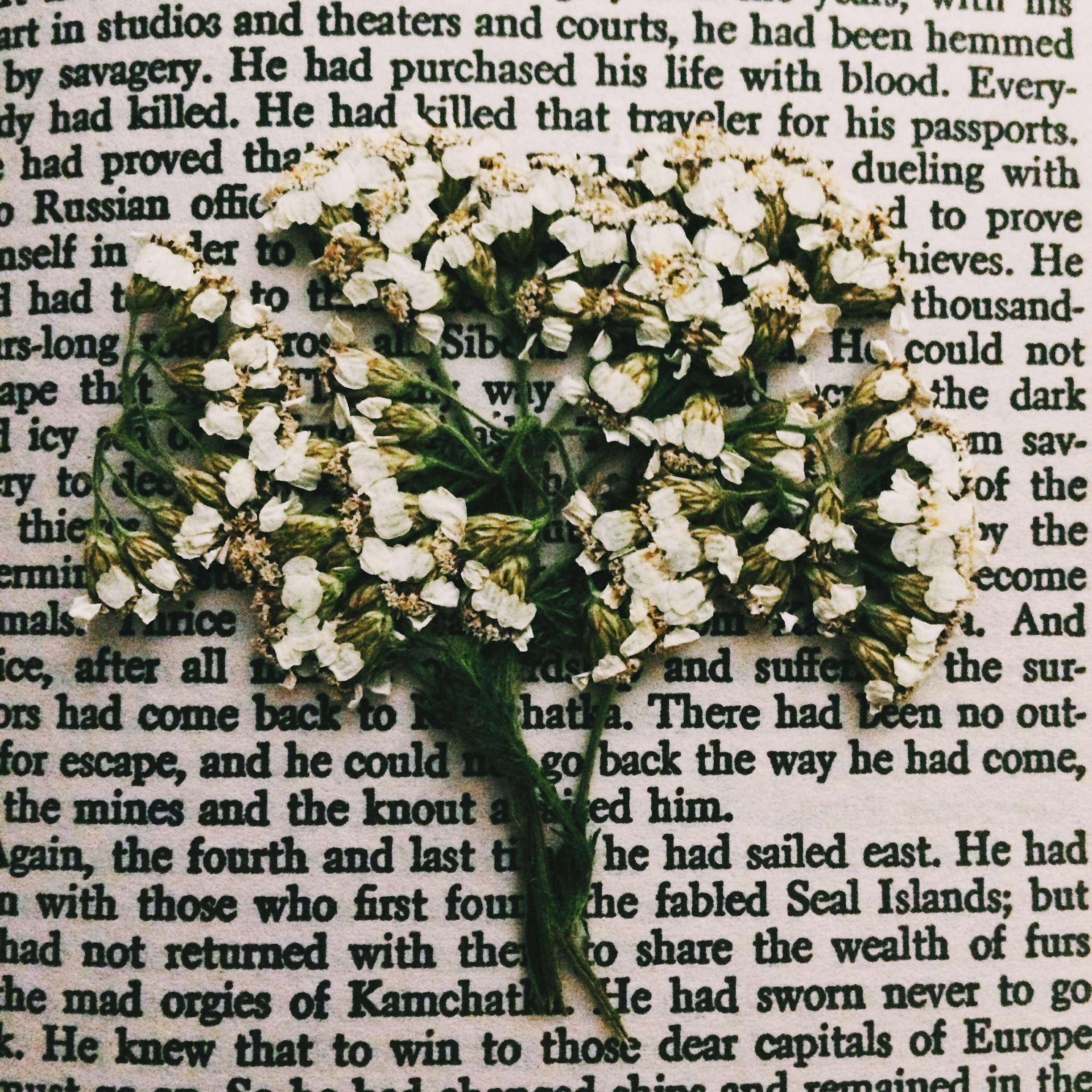 Processed with VSCOcam with c1 preset