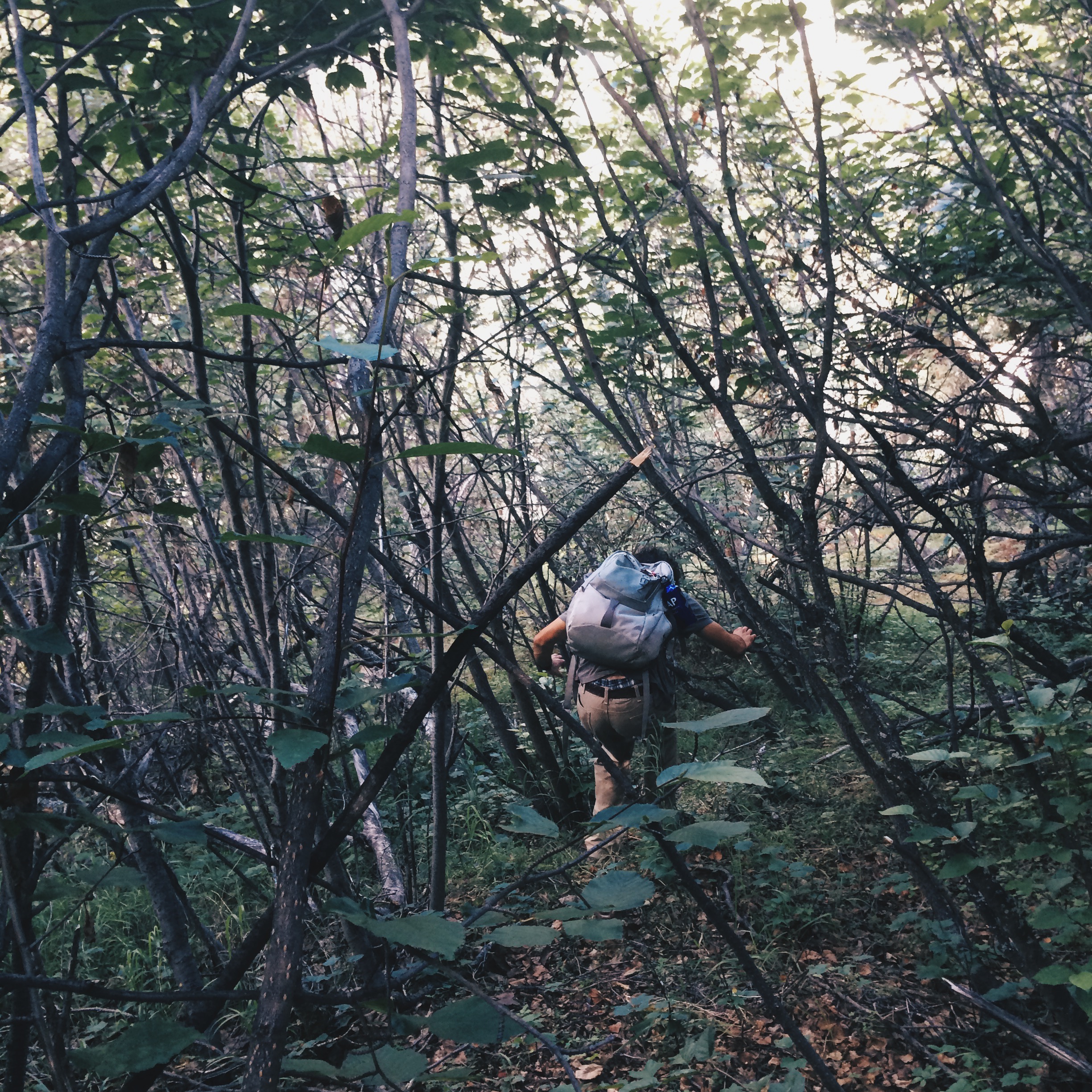 Processed with VSCOcam with hb2 preset