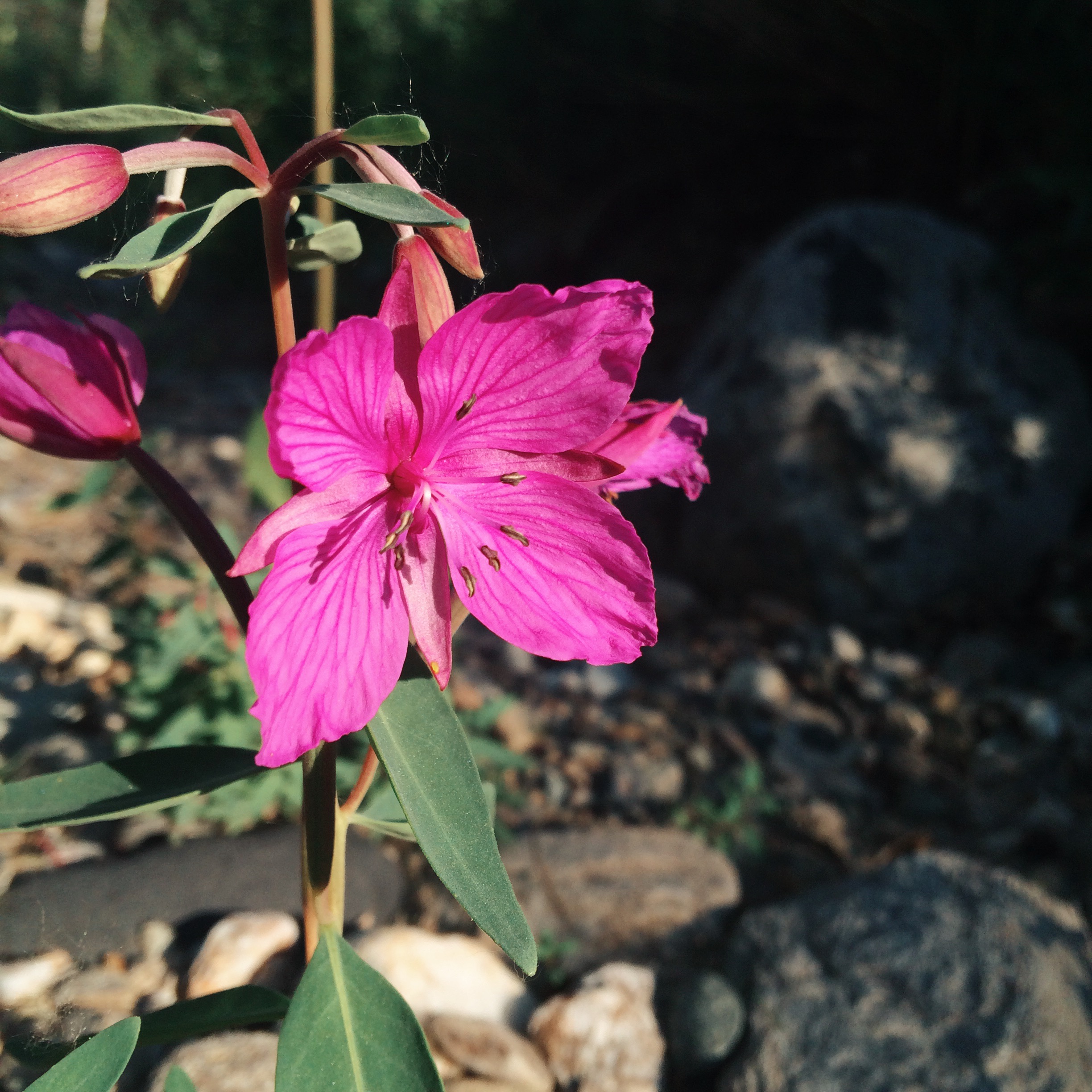 Processed with VSCOcam with kk1 preset